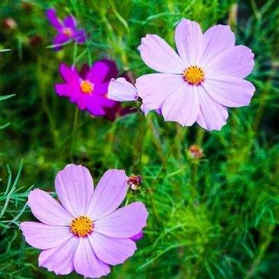 凯发K8旗舰厅App下载